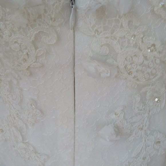 La Sposa by Pronovias Wedding Dress Rochelle - Picture 12 of 13